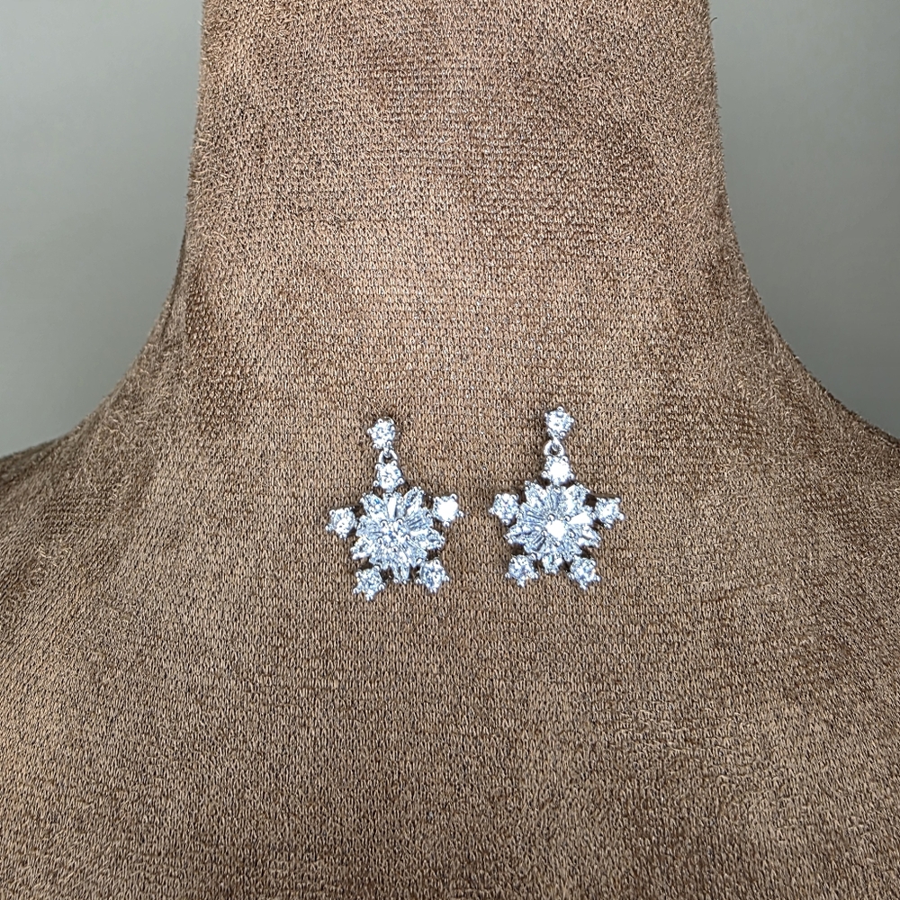 Silver Earrings